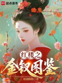 红楼之金钗图鉴